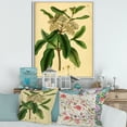 thumbnail image 2 of Designart 'Ancient Plant Life I' Traditional Framed Canvas Wall Art Print, 2 of 5