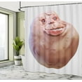 thumbnail image 5 of Ambesonne Humor Shower Curtain, Forever Alone Rage Face, 69"Wx84"L, Peach, 5 of 5