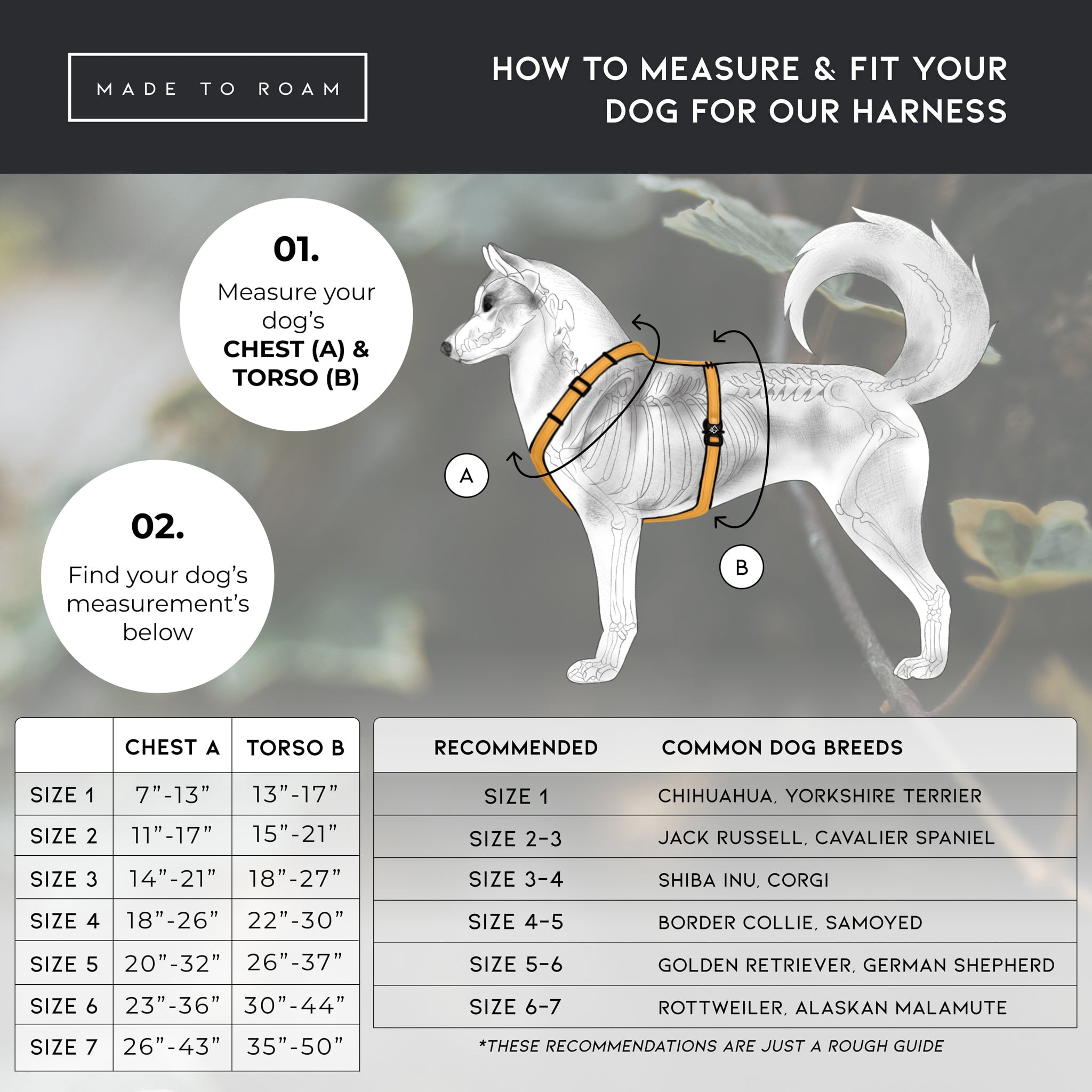 Made To Roam Premium Explorer Harness - Y-Shaped Dog Harness with Adjustable Durable Nylon, Soft Padding, Metal Buckles and Leather Handle for Small, Medium, Large Dogs (Arizona Heartbeat, Size 6)