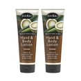 thumbnail image 1 of Loción para manos y cuerpo ShiKai Coconut 240 ml (paquete de 2), 1 of 6