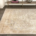 thumbnail image 4 of JONATHAN Y MODERN PERSIAN 5 x 8 Area Rug, Petras Ornate Medallion - Gray/Brown, MDP307A-5, 4 of 12