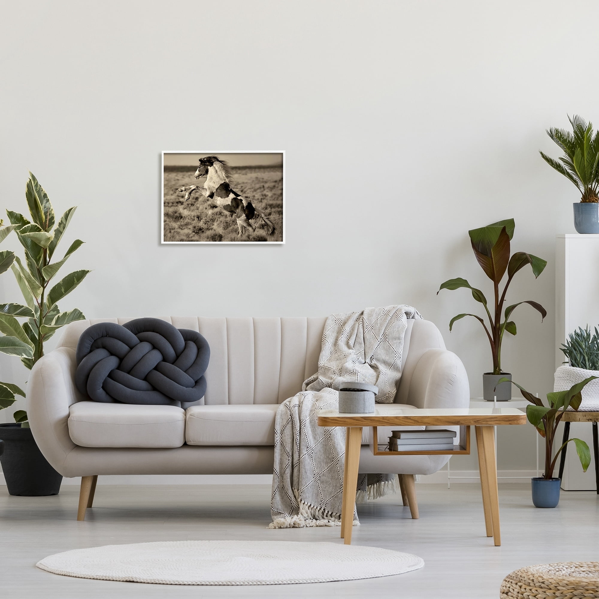 Stupell Industries Rearing Spotted Horse Rural Countryside Field Photography Photograph White Framed Art Print Wall Art, Design by Lisa Dearing