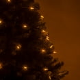 thumbnail image 6 of Wintergreen Lighting LED Christmas Tree Lights, T5 Mini Lights, LED String Lights, Christmas String Lights, 50 Lights, Green Wire, 6 of 7