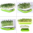 thumbnail image 2 of Juego de 5 bandejas de germinación para germinación de semillas sin suelo con cesta hidropónica de dos niveles y tapa para jardín doméstico, 2 of 5