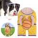 thumbnail image 5 of Disfraz Baloncesto para Perro Con Pelota Halloween (L ) Amarillo, 5 of 9