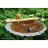 Bamboo Accents 18-in. Classic Spout and Pump Fountain Kit