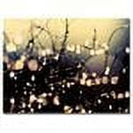 Trademark Fine Art "When Fairies Dance" Canvas Art by Beata Czyzowska