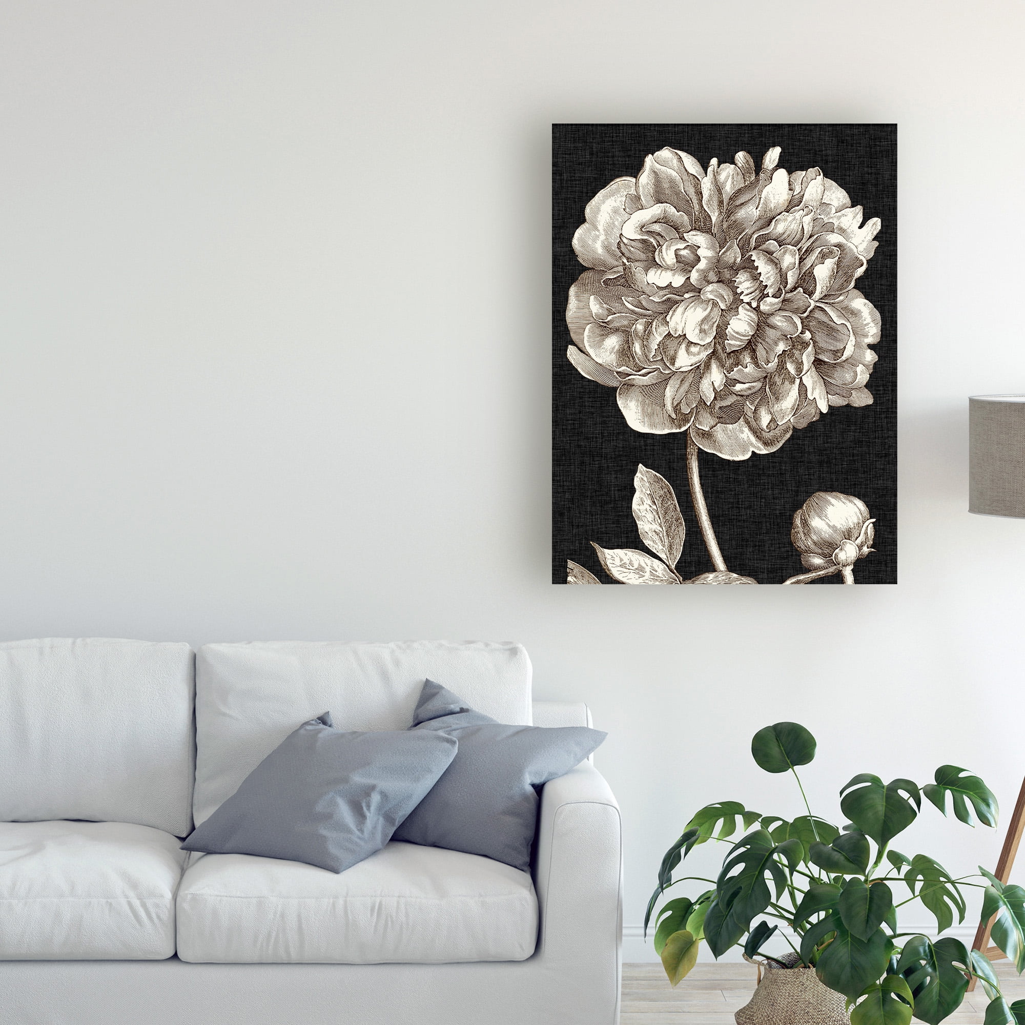 Trademark Fine Art 'Dramatic Peony I' Canvas Art by Vision Studio
