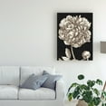 thumbnail image 3 of Trademark Fine Art 'Dramatic Peony I' Canvas Art by Vision Studio, 3 of 4