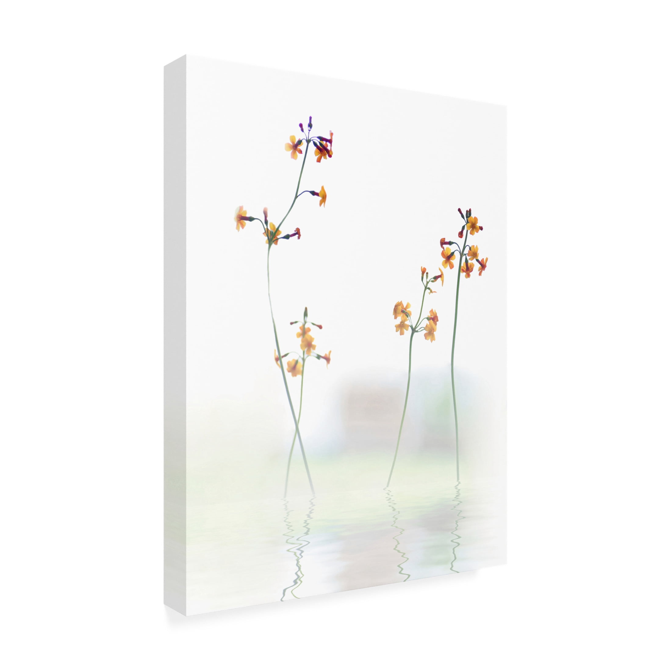 Canvas Wall Art - Anna Cseresnjes 'Petite Fleur   ' Wall Art for Living Room, Bedroom, or Office D?cor by Trademark Fine Art - 18 x 24 Inches