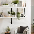 thumbnail image 2 of Bouclair Succulentes Blanches dans un Plateau en Ciment, 2 of 5