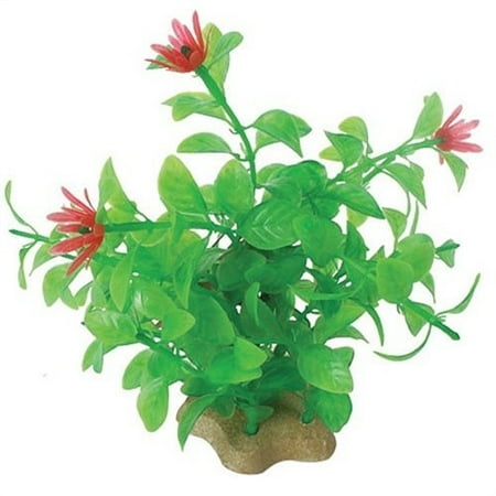 Natural Elements Blooming Ludwigia