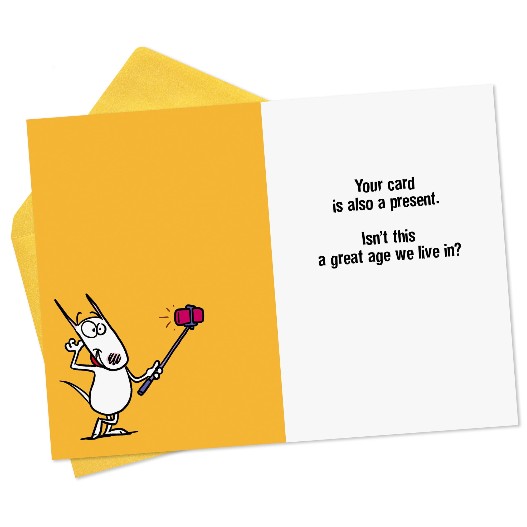 Hallmark Shoebox Maxine Funny Birthday Card (This Card Is Also Your Present)