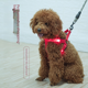 thumbnail image 2 of Correa de pecho luminosa LED para perros medianos y grandes, correa de pecho luminosa para perros, suministros para mascotas, 2 of 6