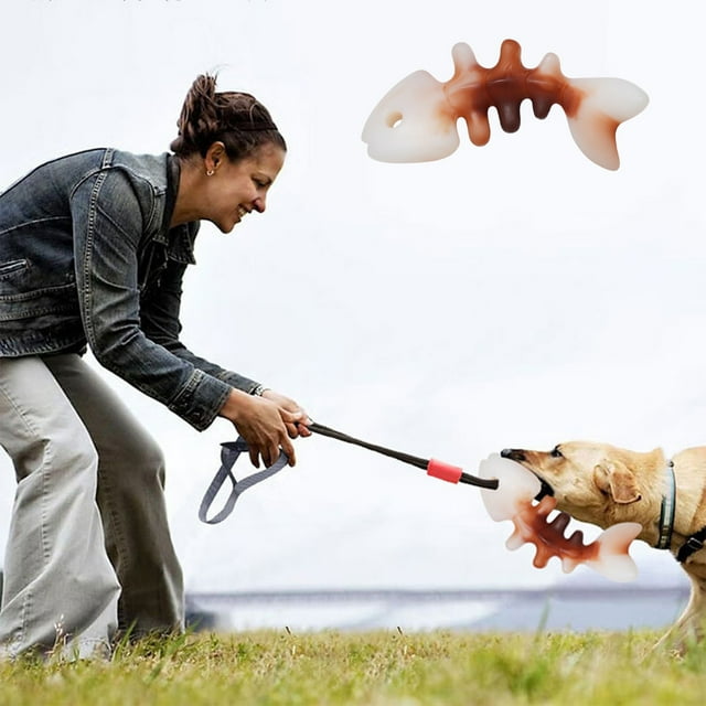 Adornos decorativos, regalos decorativos, decoración de festivales, juguetes para masticar para perros, juguetes para rechinar los dientes, huesos de goma para perros, juguete resistente a la masticac