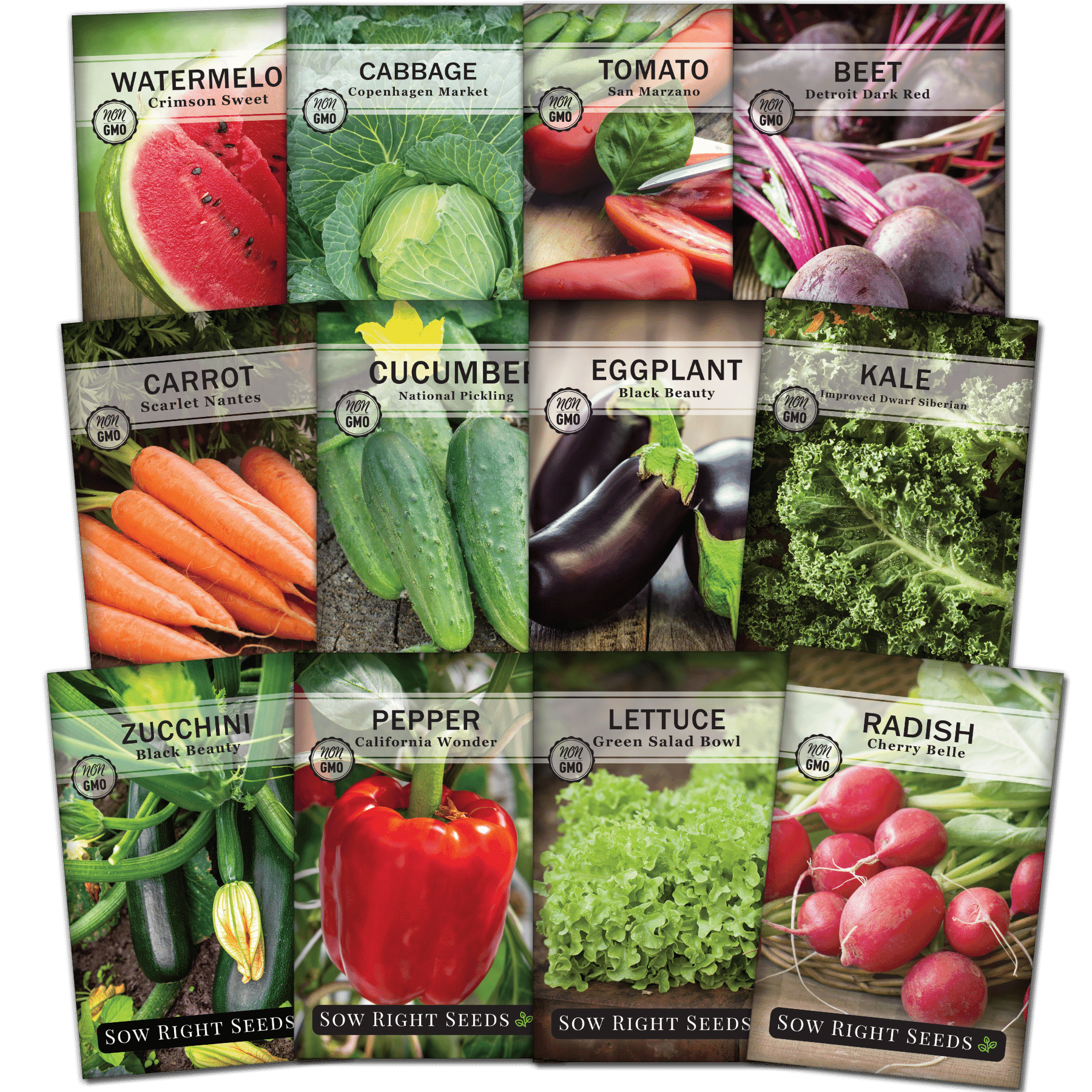 Classic Vegetable Garden Seed Collection for Planting Non GMO