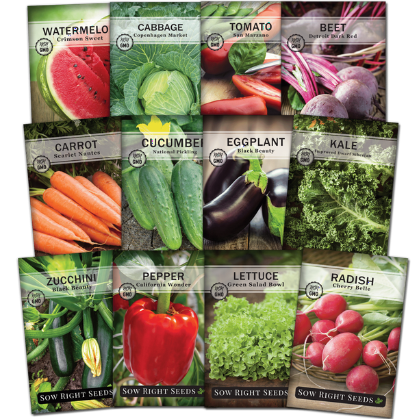 Classic Vegetable Garden Seed Collection for Planting Non GMO