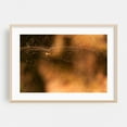 thumbnail image 2 of Golden Web Weaving - Photography Insect Nature Wildlife Autumn Mystical Unframed Wall Art Print 32 x 48 inches, 2 of 7
