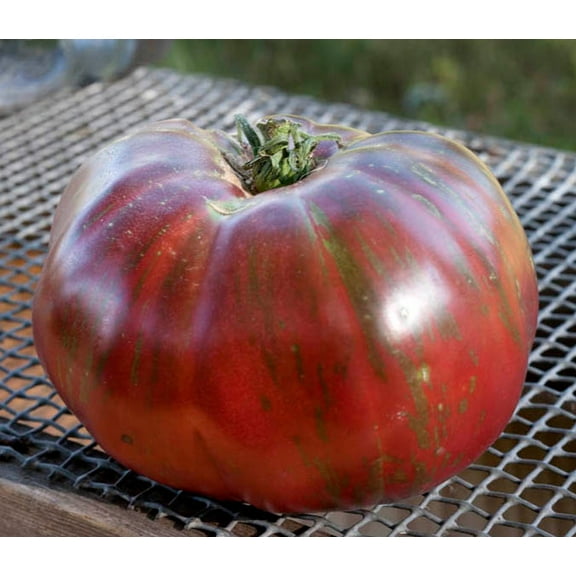 Pink Berkeley Tye Dye Heirloom Tomato Premium Seeds Packet