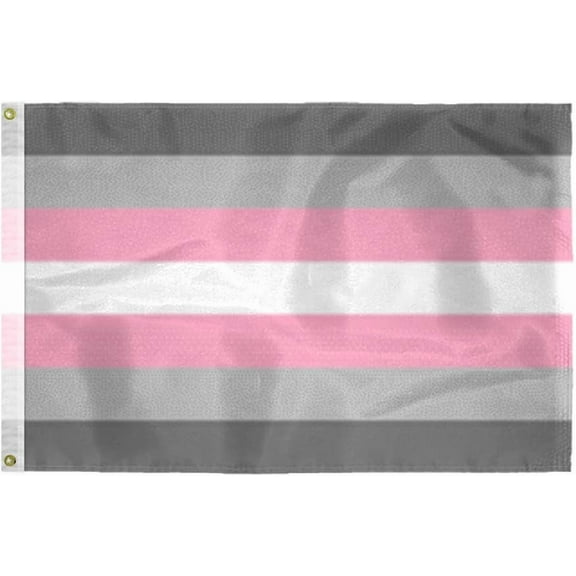 AGAS Demigirl Pride Flag 2x3 Ft - Double Sided Printed 200D Nylon - Brass Grommets - Fade Proof Sharp Colors - Demisexual Community Flag