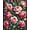 Pink, variant on ODIKA 4' x 6' Machine Washable Non-Slip Area Rug, Floral rose High Traffic Rug, Pink, 221592