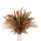 thumbnail image 1 of 60 piezas de hierba de pampa natural seca flores secas de 17,72 pulgadas para Boho Afortunado Sencillez, 1 of 5