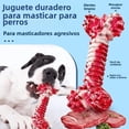 thumbnail image 2 of Juguetes Indestructibles Xl Para Masticadores Agresivos Xtellar multicolor, 2 of 4