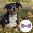 thumbnail image 3 of Empate de Huxley y Kent | | Accesorio para collar de mascota con lazo de rejilla azul/verde, 3 of 5