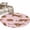 Pink, variant on Leopard Area Rugs 6'x9', Washable Small Throw Rugs for Kitchen Dining room, Vintage Primitive Animals Indoor Outdoor Rug Non-Slip Low Pile Carpet Runner Reversible Floor Mats