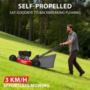 PowerSmart 21 170cc Gas Self-Propelled Lawn Mower, with 6-Position Height Adjustment