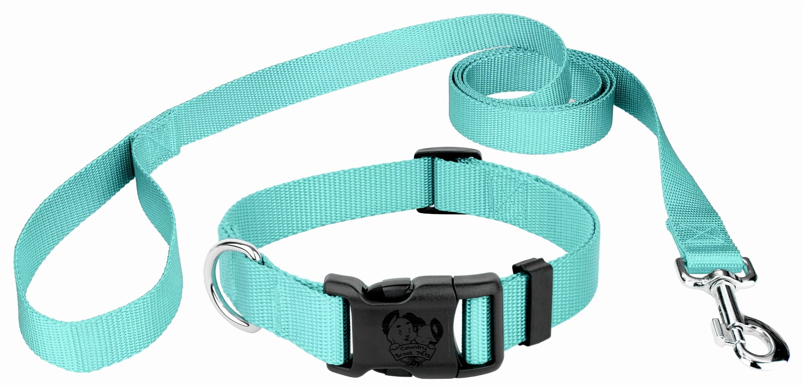Country Brook Petz® Light Cyan Everyday Nylon Dog Collar and Leash, Medium