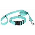 thumbnail image 5 of Country Brook Petz® Light Cyan Everyday Nylon Dog Collar and Leash, Small, 5 of 7