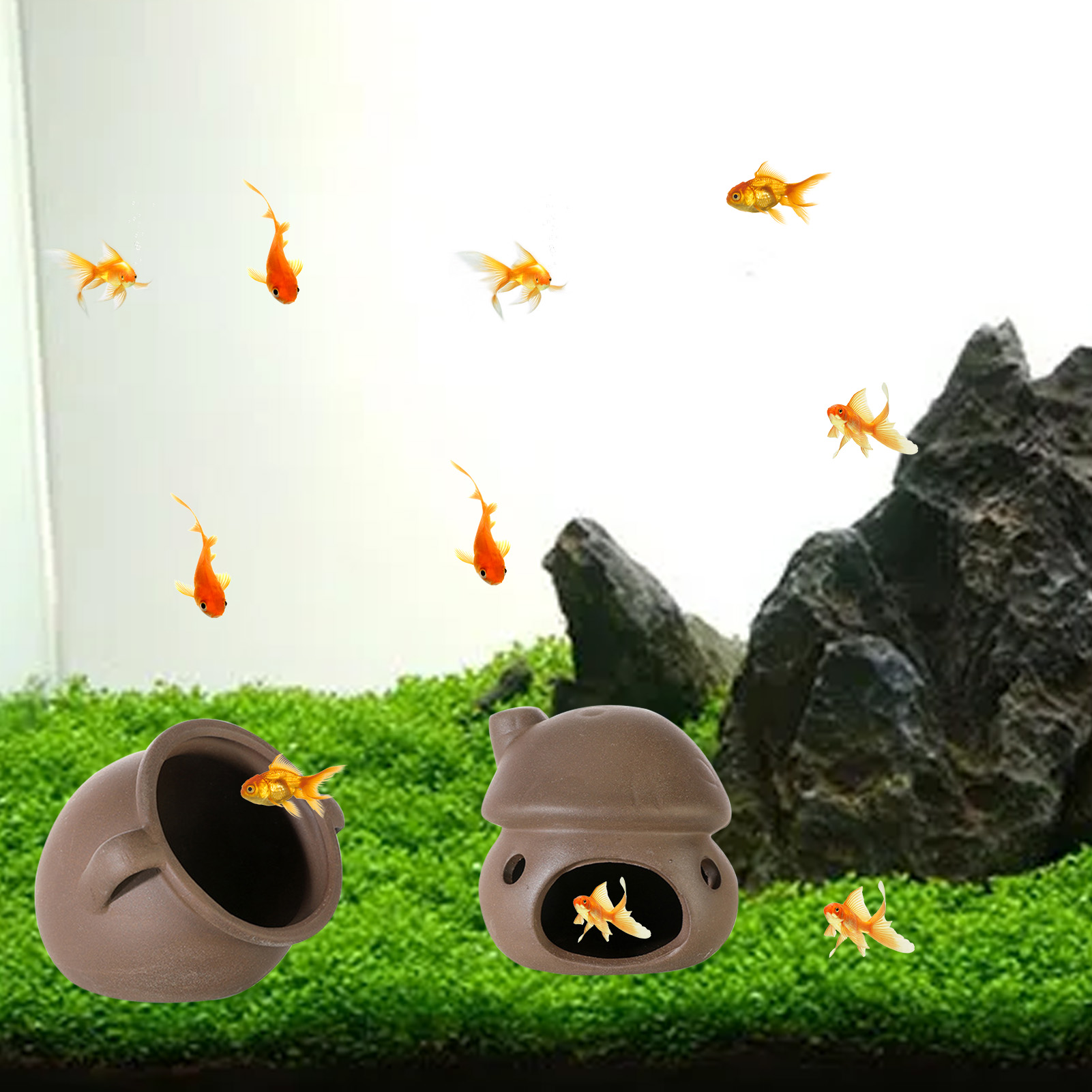 Coconut Cave U00be U2013 Secure Shelter For Aquariums & Terrariums &ndash