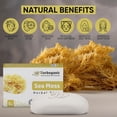 thumbnail image 4 of Herboganic Sea Moss Herbal Soap, Vegan and Natural Bar Soap for Face and Body, Infused with Seaweed, 5 Oz Pack of 1, 4 of 9