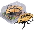 thumbnail image 1 of Yunuuuoa Windup Insect Toy Realistic Moving Bug Model for Educational Play Science Learning Interactive Motion Shaking Head Tail Action Figure Nature Exploration Gift, 1 of 8