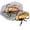 10Pack-QA791, variant on 10 Pack Realistic Interactive Insect Toy Collection For Educational Play Indoor Outdoor Use
