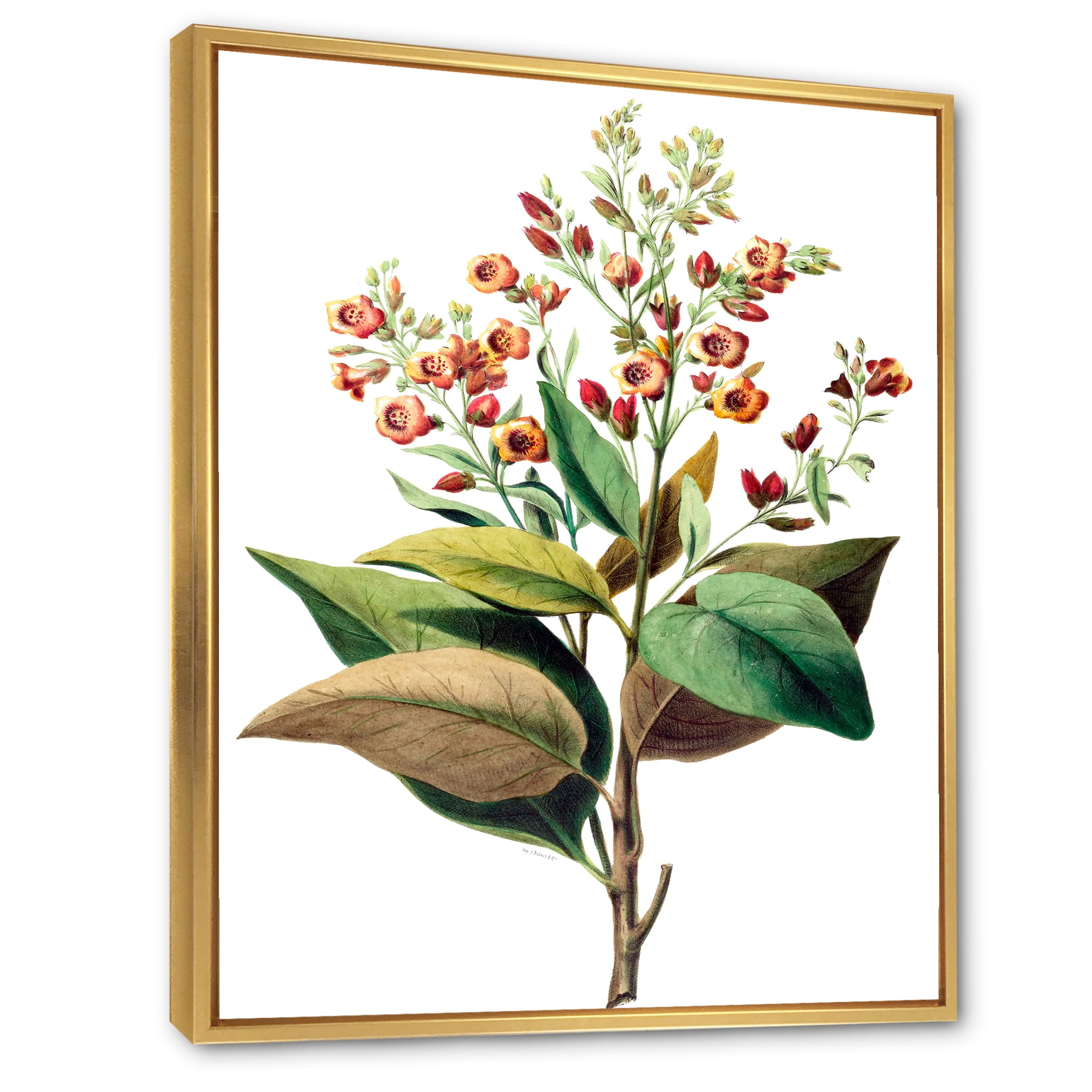 Designart 'American Vintage Flowers II' Traditional Framed Canvas Wall Art Print