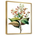 thumbnail image 3 of Designart 'American Vintage Flowers II' Traditional Framed Canvas Wall Art Print, 3 of 5