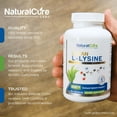 thumbnail image 5 of L-Lysine 600mg - Clean Vegan Capsules - 120 Count - Natural Cure Labs, 5 of 11