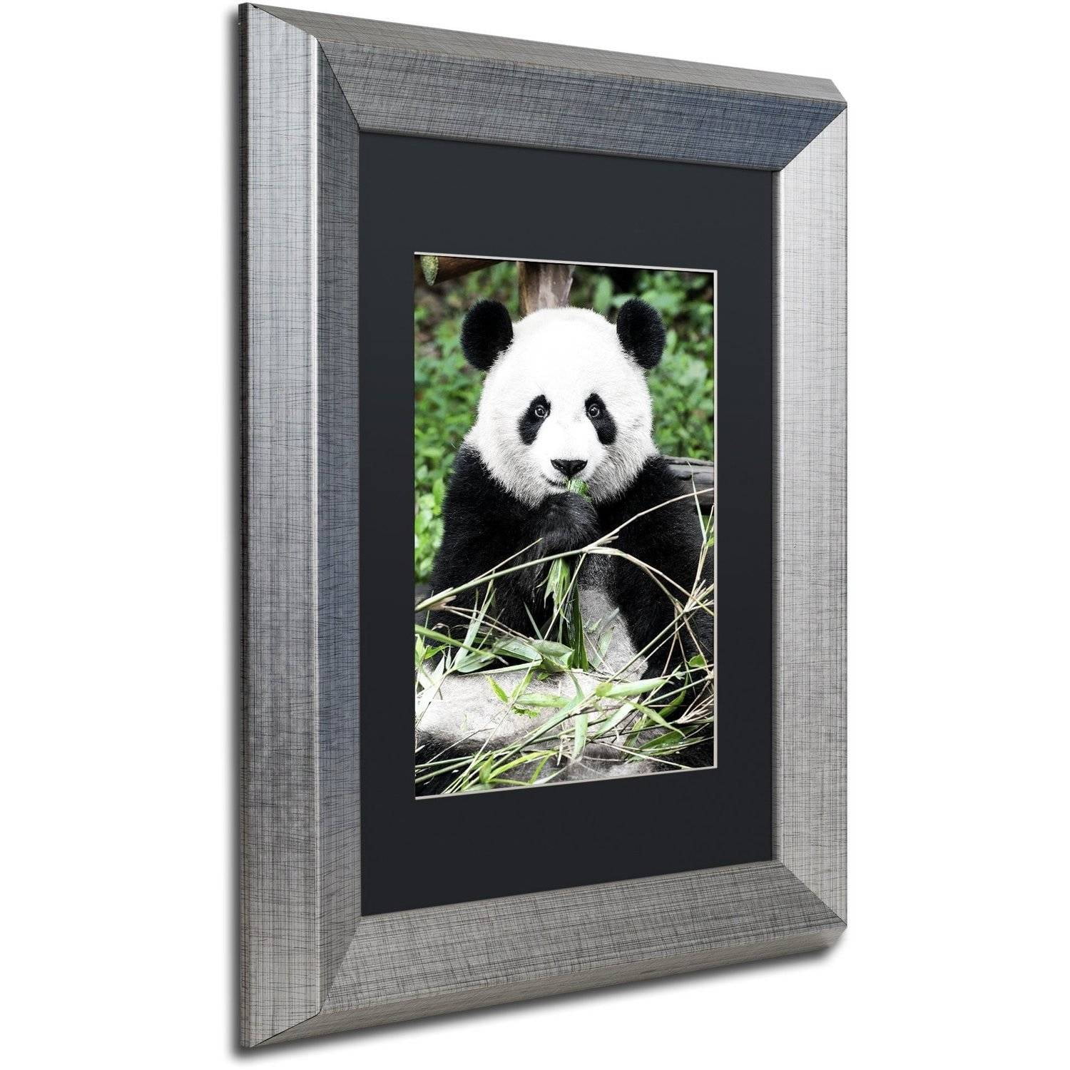 Trademark Fine Art "Giant Panda" Canvas Art by Philippe Hugonnard, Black Matte, Silver Frame