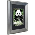 thumbnail image 2 of Trademark Fine Art "Giant Panda" Canvas Art by Philippe Hugonnard, Black Matte, Silver Frame, 2 of 4