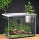 thumbnail image 1 of Terrario para reptiles Perfecl hábitat de tortuga 32x18,5x23cm tapa blanca, 1 of 8