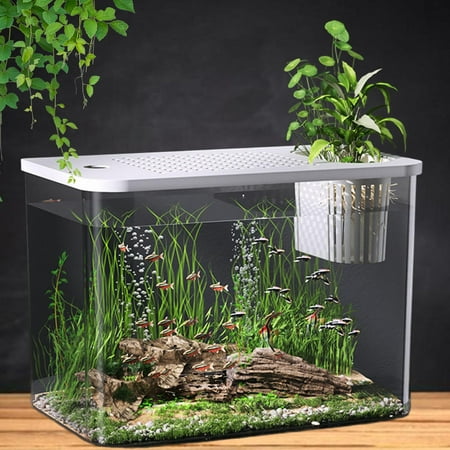 FITYLE Reptile Terrarium Tank Habitat Desktop Breeding Tank Small Tank Clear Visibility for Snake Frog Betta Gecko Lizards White Lid