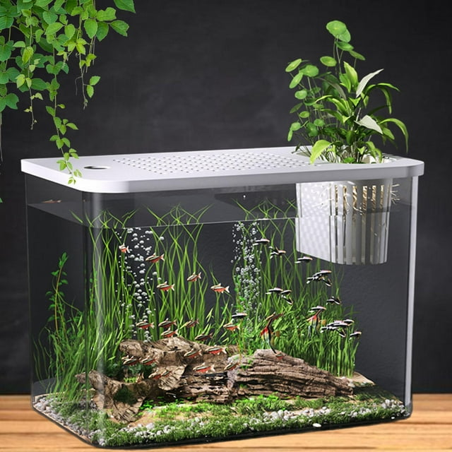 Terrario para reptiles Perfecl hábitat de tortuga 32x18,5x23cm tapa blanca