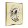 thumbnail image 3 of Stupell Industries Tropical Natural Oyster Shell Gold Floating Frame Canvas Art, 25 x 31, by Michael Willett, 3 of 8