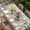 Light Gray Green Tan, variant on Bottles and Plants Table Cloths for 8 Foot Rectangle Tables, Country Leaves Farmhouse White Wooden Grain Patio Waterproof Elastic Fitted Tablecloths, Washable Rectangular Table Cover for Camping