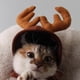 thumbnail image 3 of Disfraz de mascota, gato, perro, madera, cuerno de reno, gorro para mascota, gorro de caza de peluche para perro, gorro de caballero para perro, 3 of 5