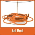 thumbnail image 5 of Wild Wings Plastic All-in-One Oriole Buffet Bird Feeder 12 oz, Orange, 5 of 11