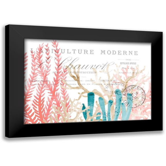 Kimberly, Allen 14x11 Black Modern Framed Museum Art Print Titled - Coral Cove 1