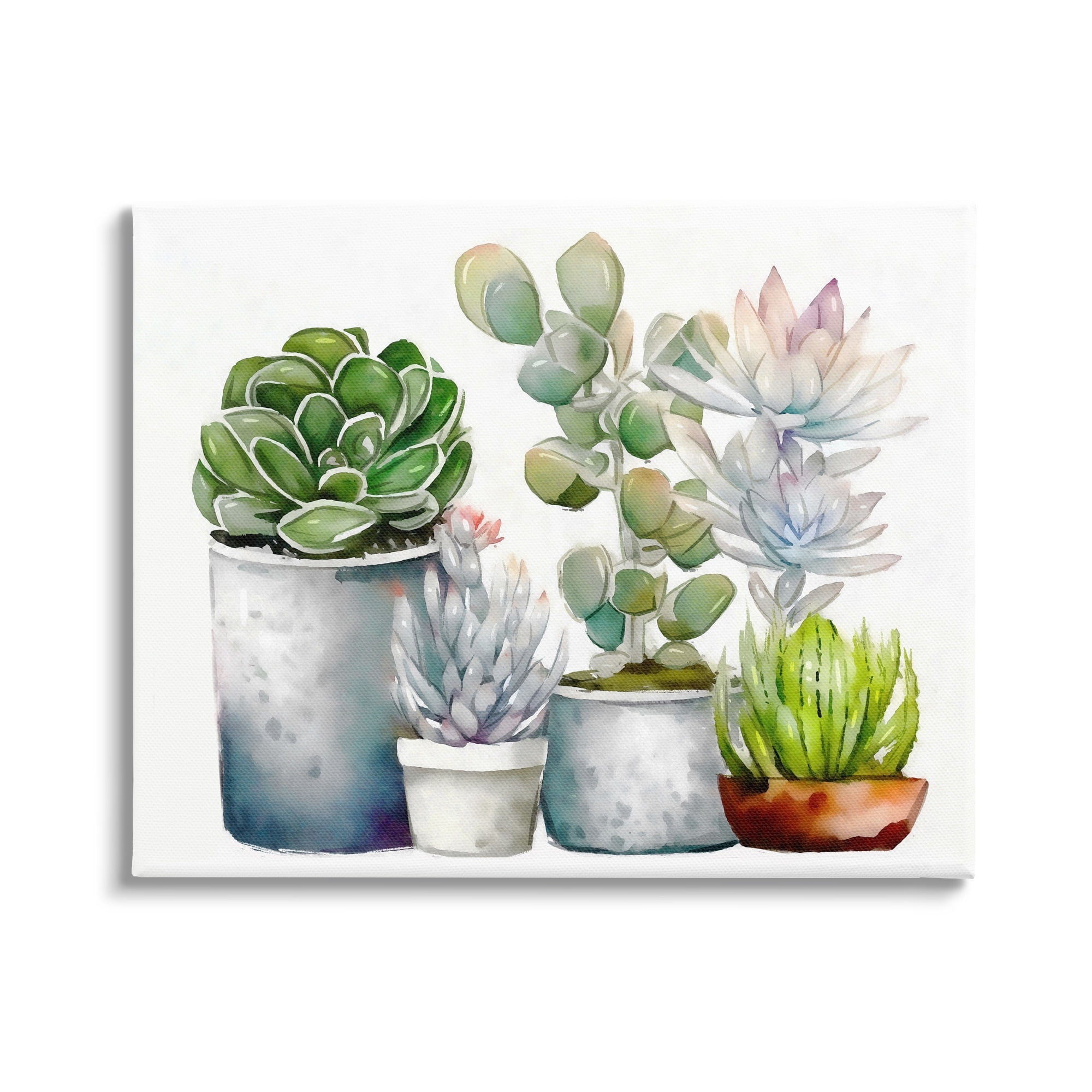 Stupell Industries Mixed Botanicals Floral Succulents Botanical & Floral Painting Gallery Wrapped Canvas Print Wall Art